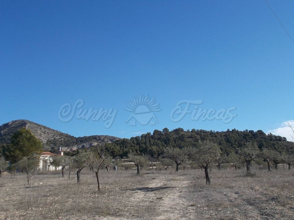 Finca i Biar, Alicante - foto 3