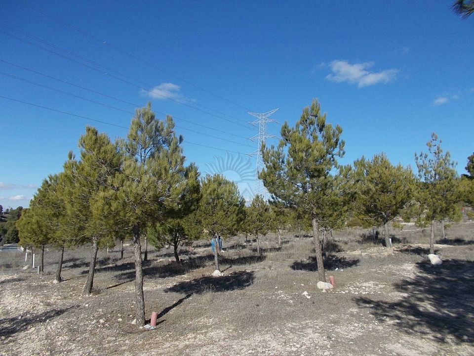 Finca i Biar, Alicante - foto 4