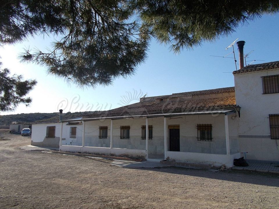 Farm hus i Yecla, Murcia - foto 1
