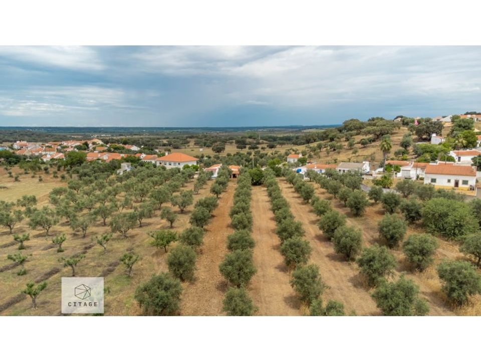 Farm hus i Avis, Portalegre - foto 1