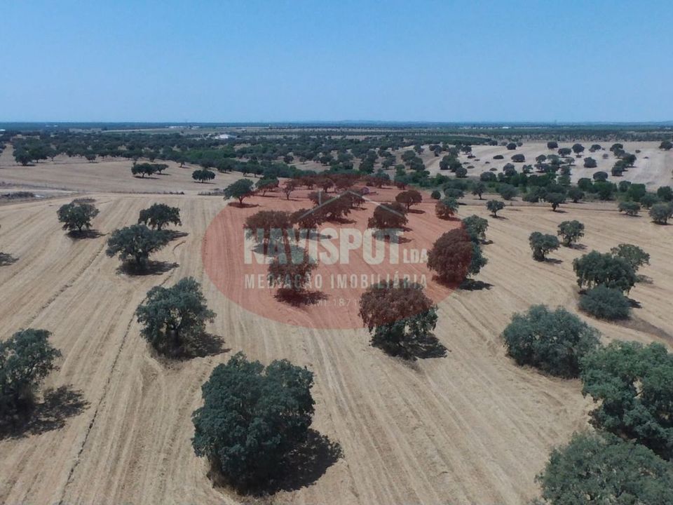 Helårsgrund i Ferreira do Alentejo, Beja - foto 3