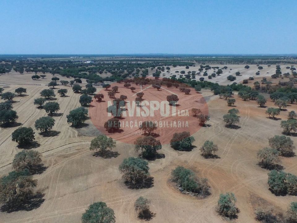 Helårsgrund i Ferreira do Alentejo, Beja - foto 4