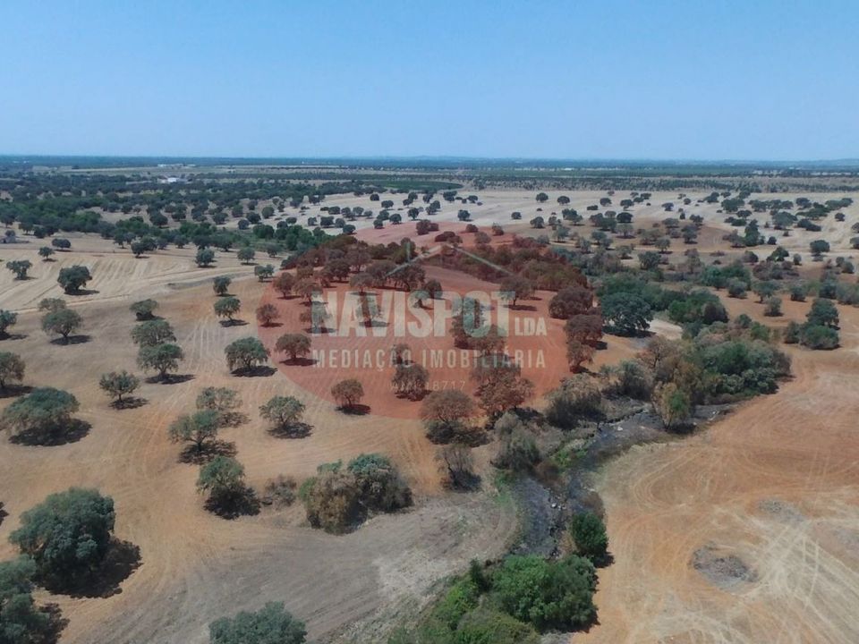 Helårsgrund i Ferreira do Alentejo, Beja - foto 5