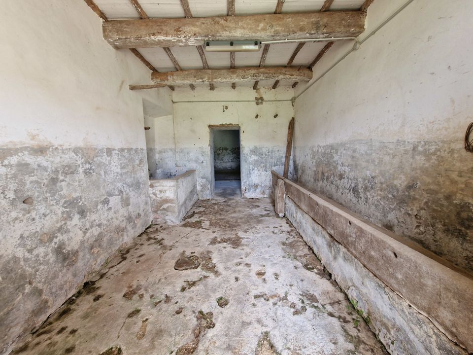Villa i Amelia, Terni - bilde 4