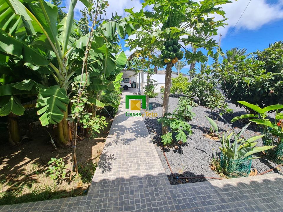 Villa i Porto Santo, Madeira - foto 5