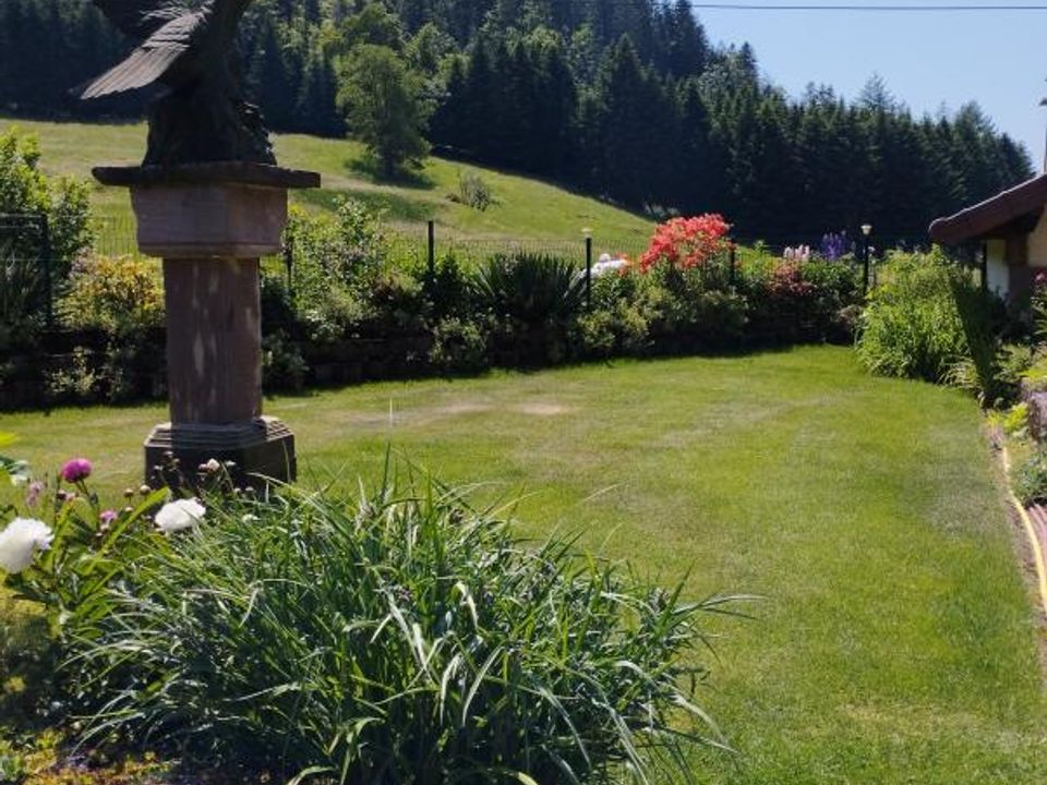Villa i Faucogney-et-la-Mer, Haute-Saone - foto 4