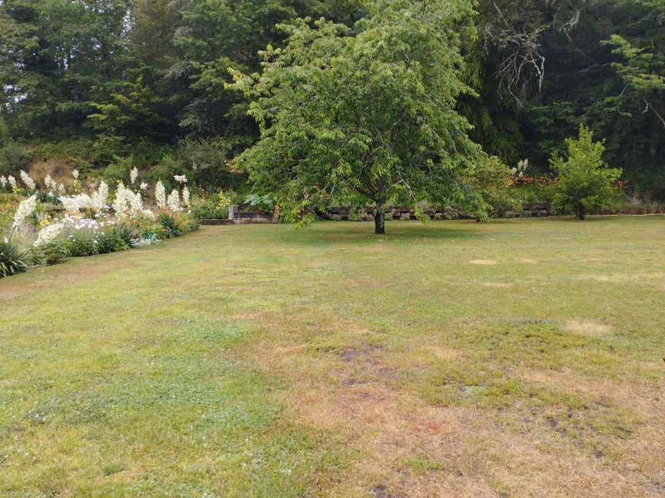 Villa i Faucogney-et-la-Mer, Haute-Saone - foto 5