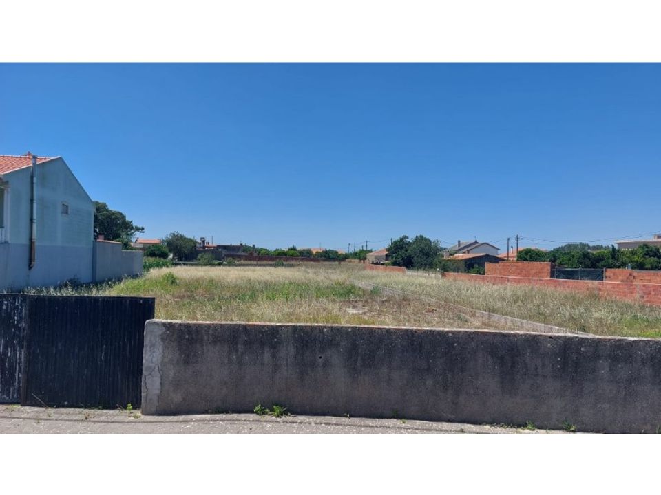 Tomt i Monte Real, Leiria - bilde 2