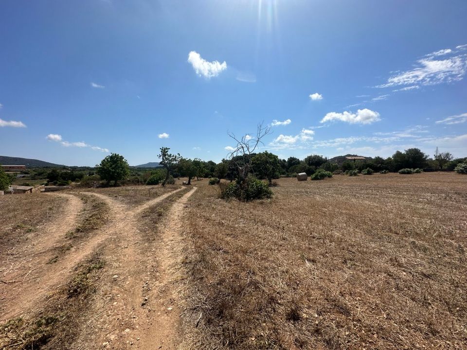 Cortijo i Arta, Mallorca - foto 4