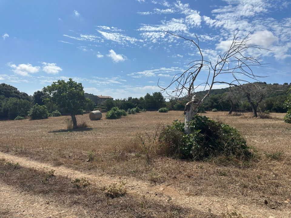 Cortijo i Arta, Mallorca - foto 5