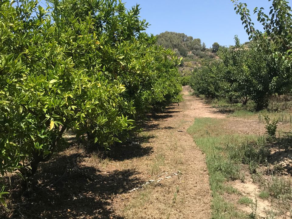 Finca i Benifallet, Tarragona - foto 3