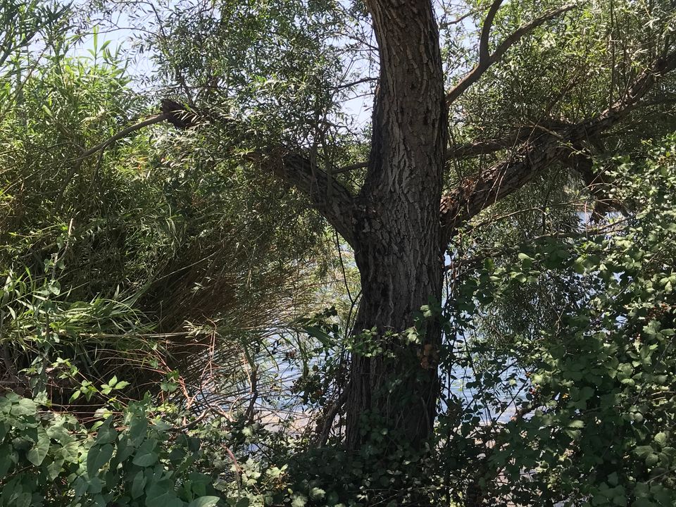 Finca i Benifallet, Tarragona - foto 4