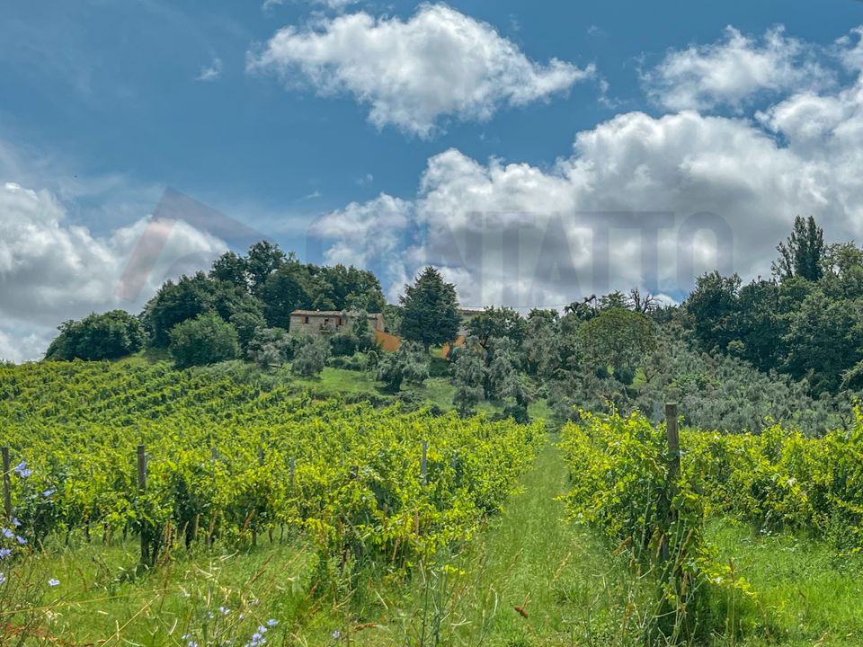 Villa i Maiolati Spontini, Ancona - foto 4