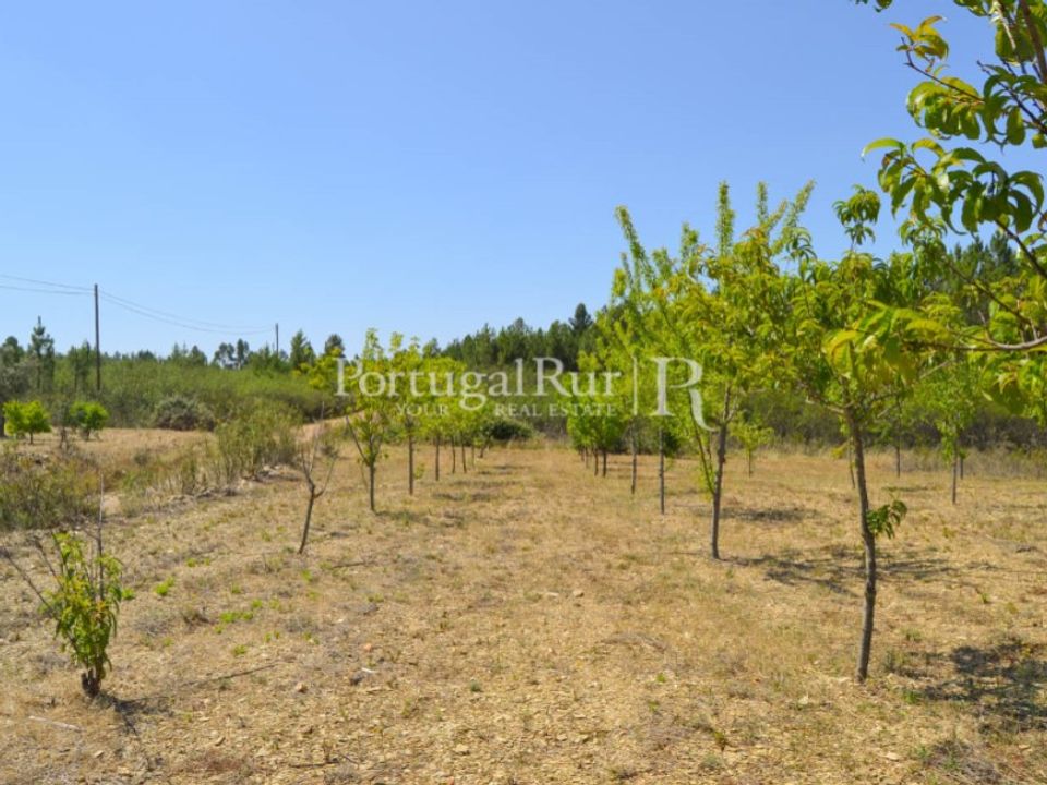 Helårsgrund i Proenca-a-Nova, Castelo Branco - foto 1