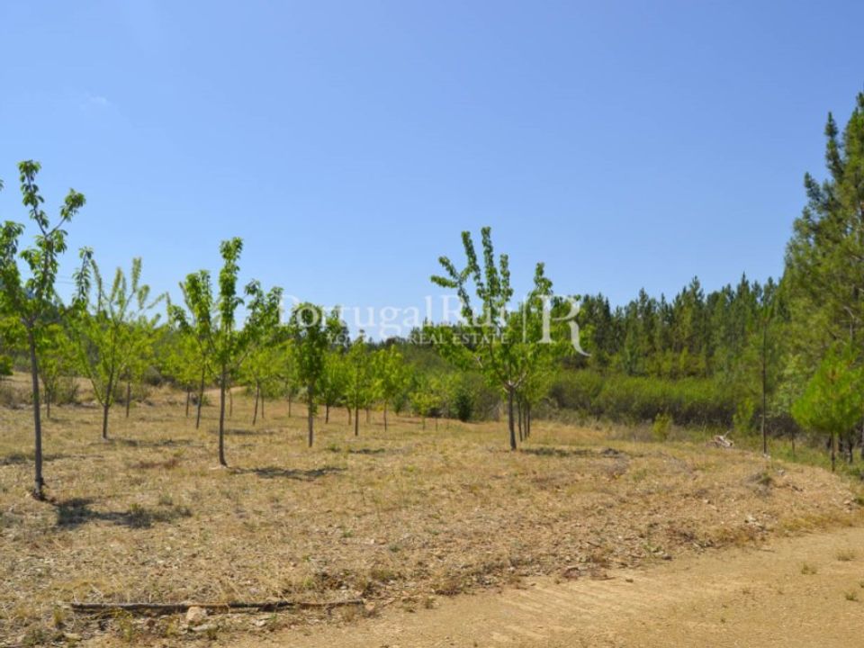 Helårsgrund i Proenca-a-Nova, Castelo Branco - foto 2