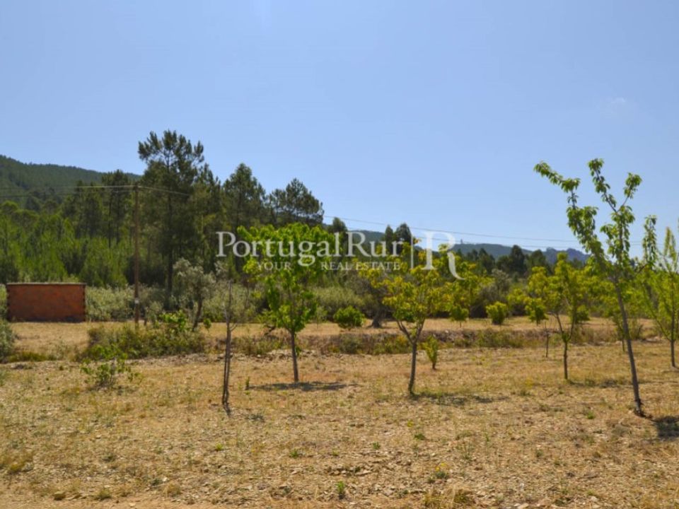 Helårsgrund i Proenca-a-Nova, Castelo Branco - foto 3