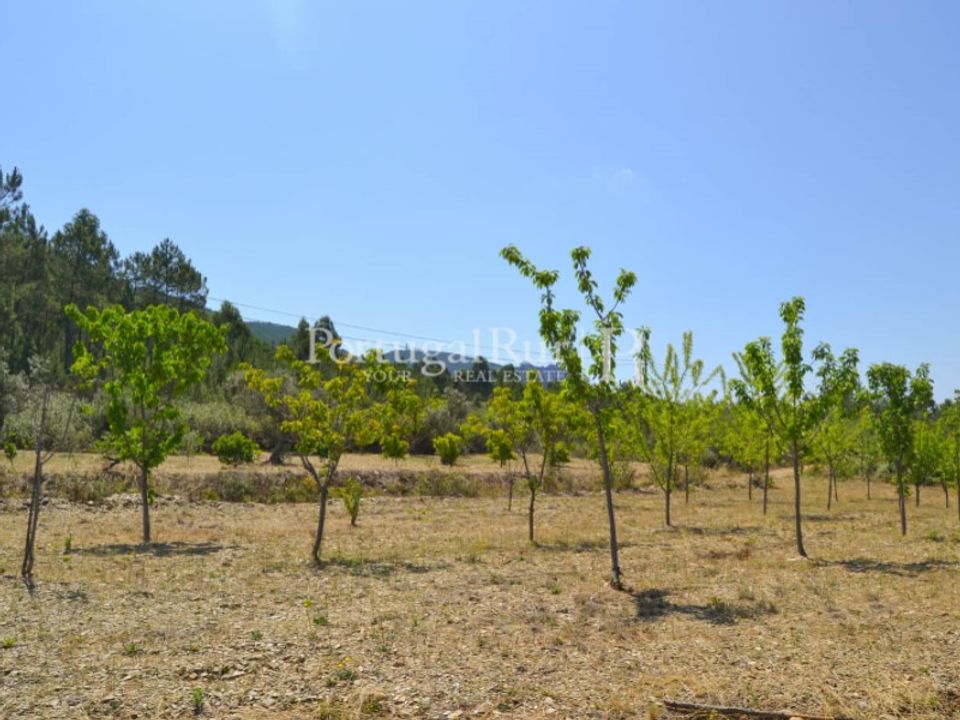 Helårsgrund i Proenca-a-Nova, Castelo Branco - foto 4
