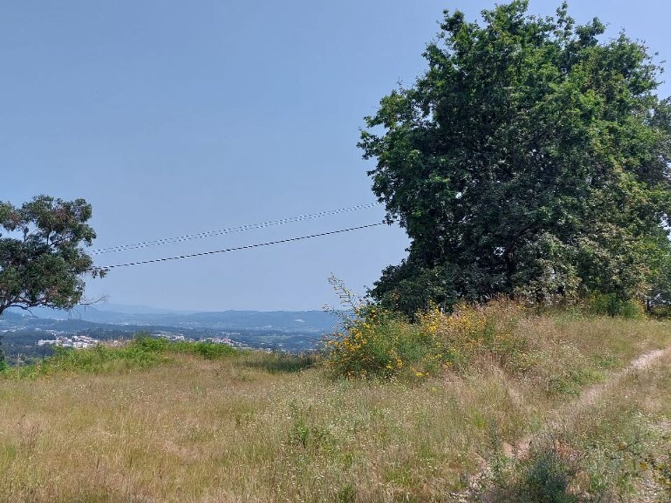 Farm i Vila Verde, Braga - foto 2