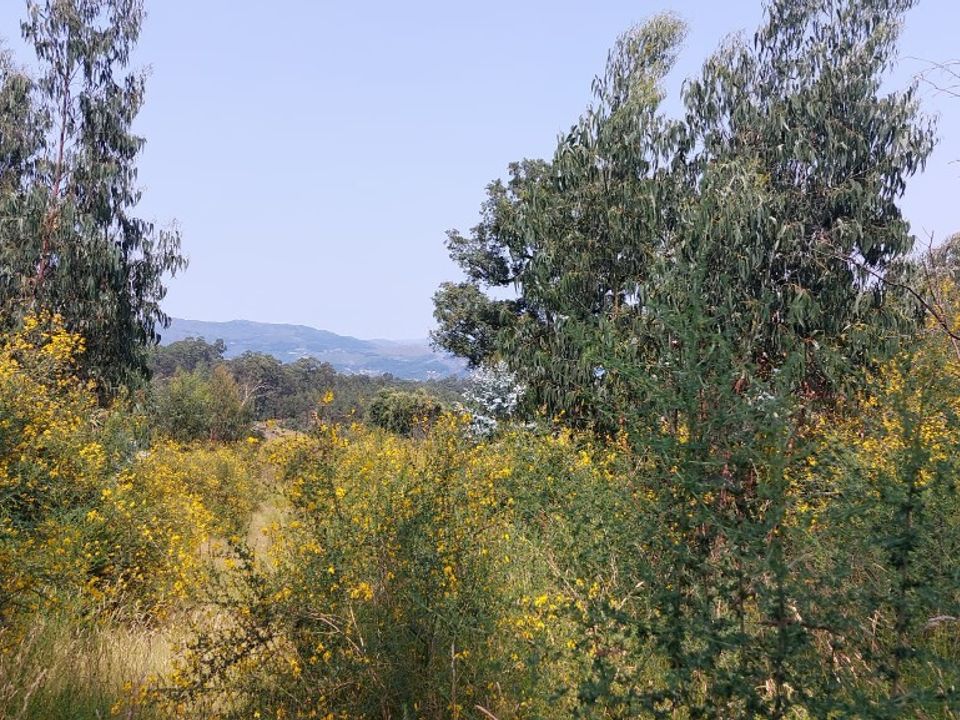 Farm i Vila Verde, Braga - foto 3