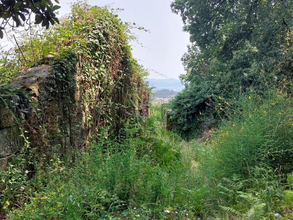 Farm i Vila Verde, Braga - foto 4