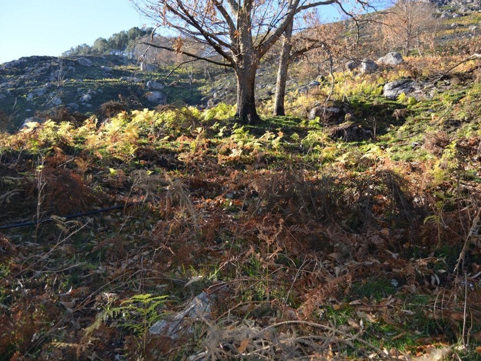 Helårsgrund i Terras de Bouro, Braga - foto 1
