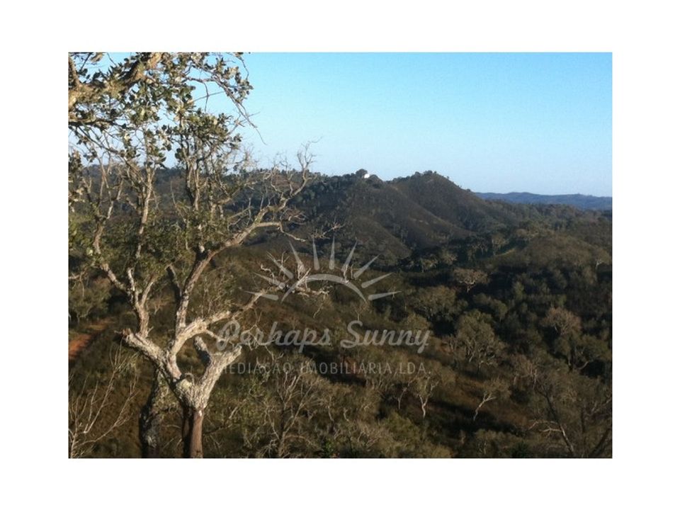 Casa de campo en Colos, Beja - foto 1