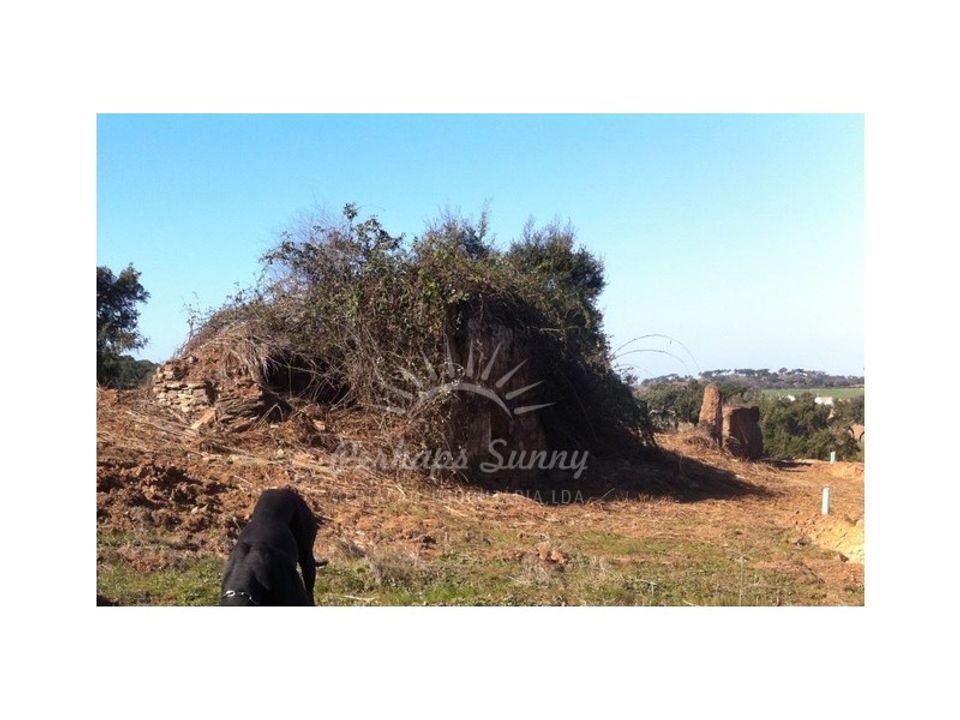 Casa de campo en Colos, Beja - foto 5