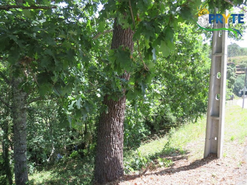 Helårsgrund i Pedrogao Grande, Leiria - foto 4
