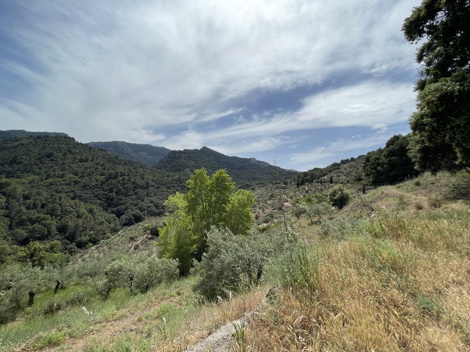 Villa i El Burgo, Malaga - foto 4