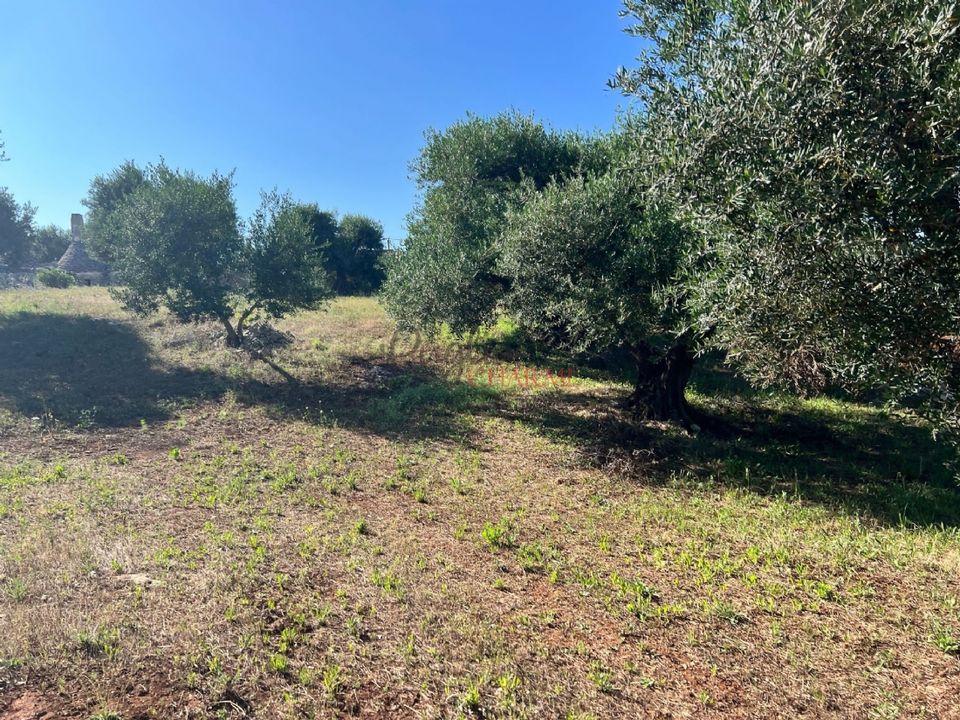 Landejendom i Cisternino, Brindisi - foto 5