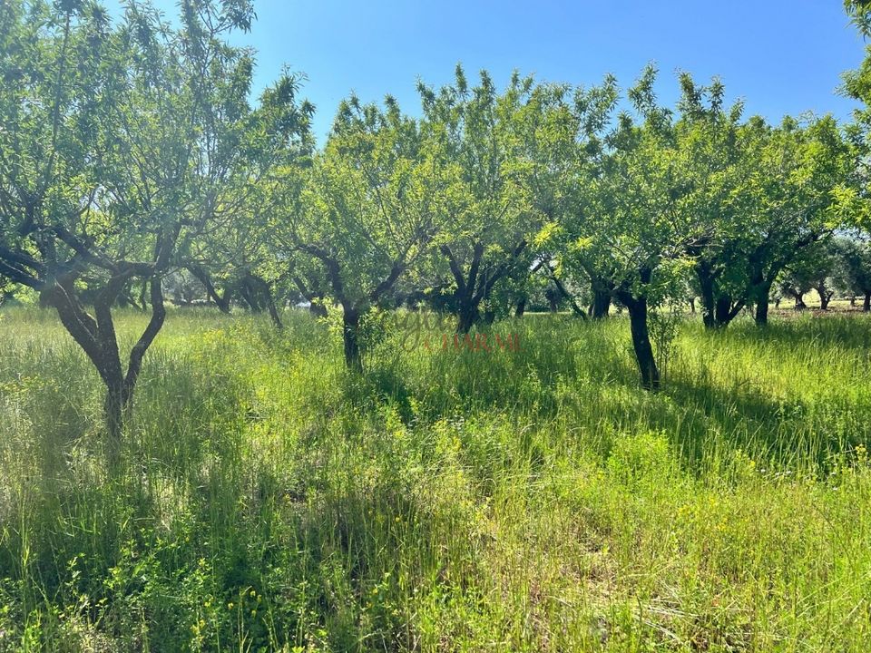 Landejendom i Ostuni, Brindisi - foto 2