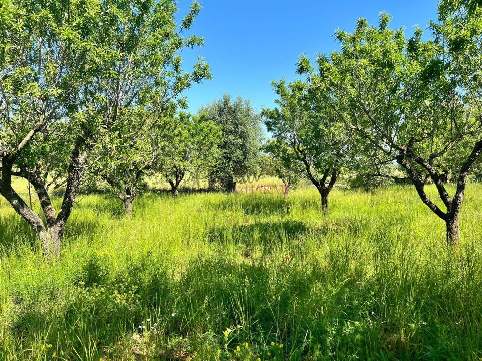 Landejendom i Ostuni, Brindisi - foto 5