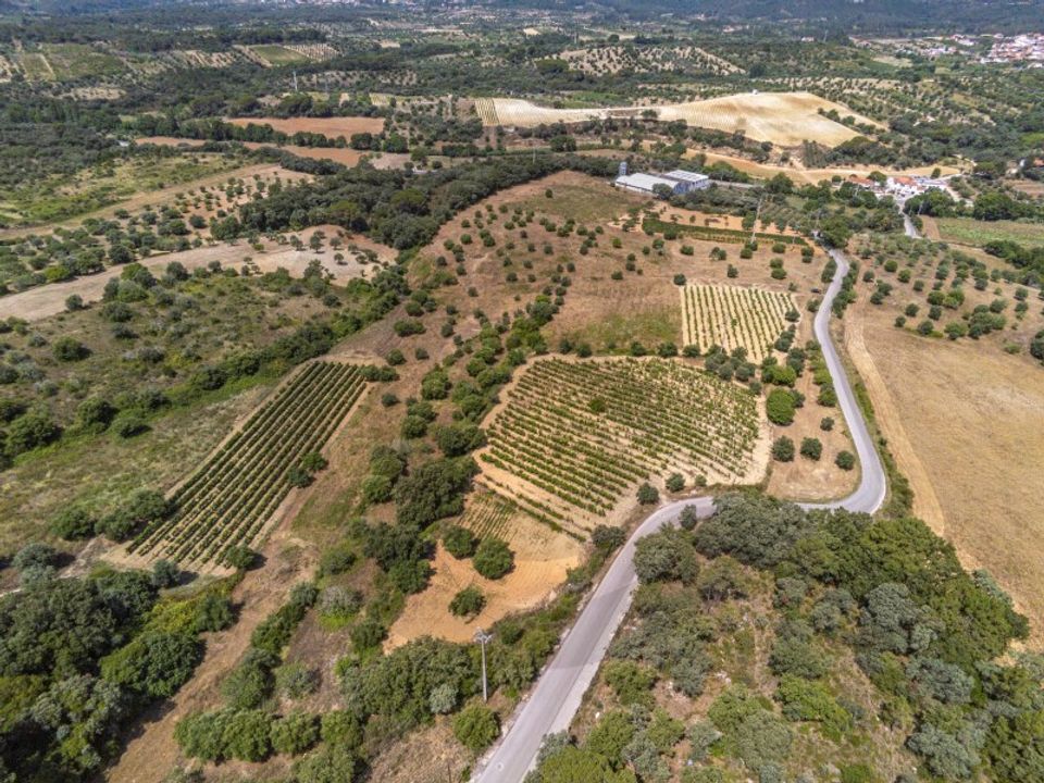 Helårsgrund i Torres Novas, Santarem - foto 1