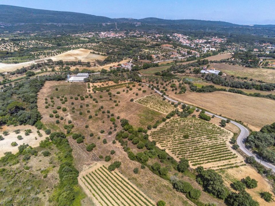 Helårsgrund i Torres Novas, Santarem - foto 2