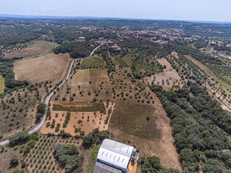 Helårsgrund i Torres Novas, Santarem - foto 3
