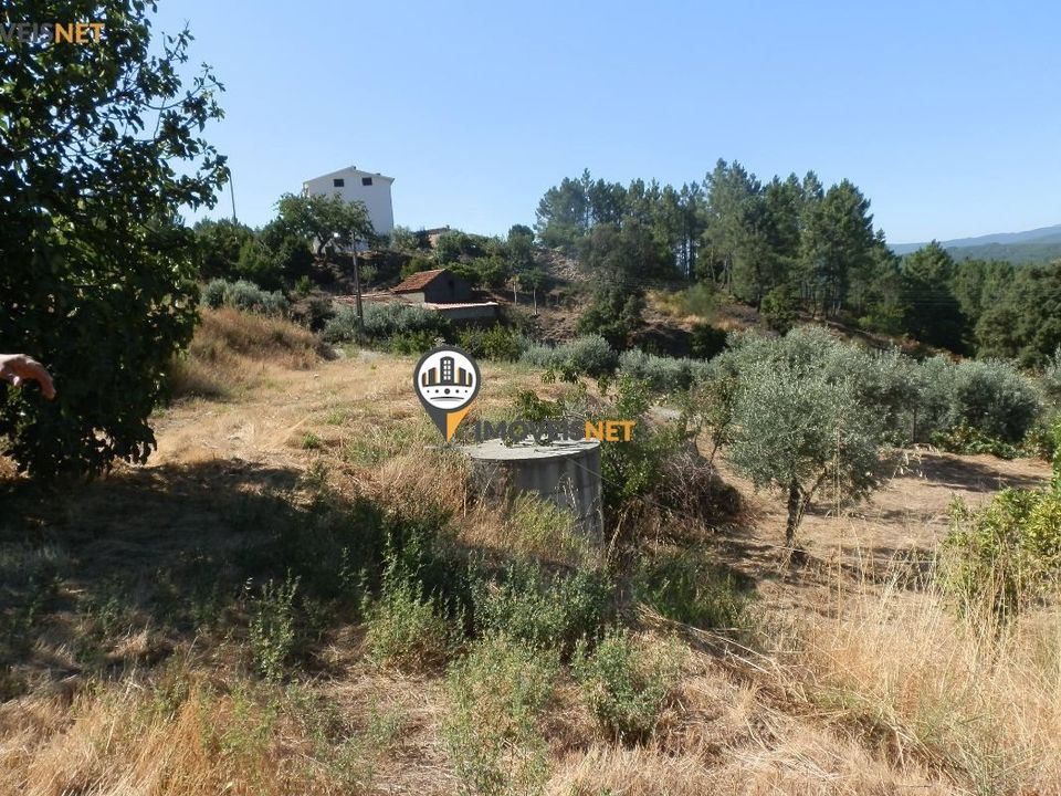 Villa i Oleiros, Castelo Branco - bilde 2