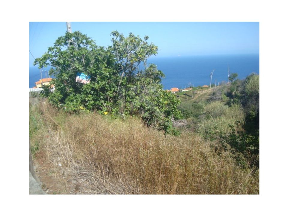 Helårsgrund i Gaula, Madeira - foto 1