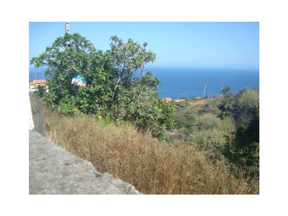 Helårsgrund i Gaula, Madeira - foto 2