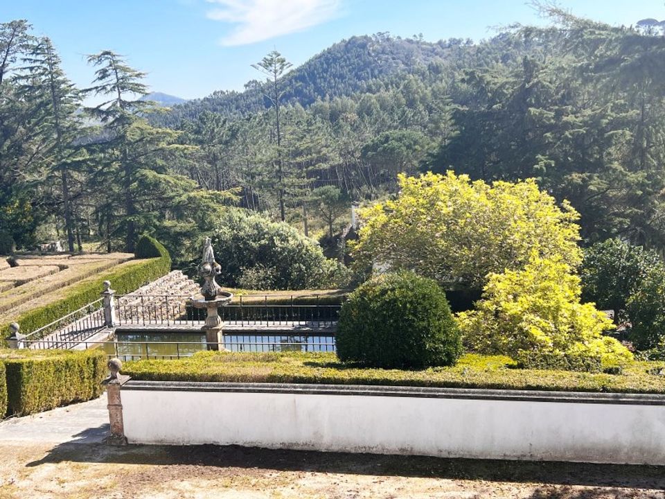 Farm i Mafra, Lisbon - foto 5
