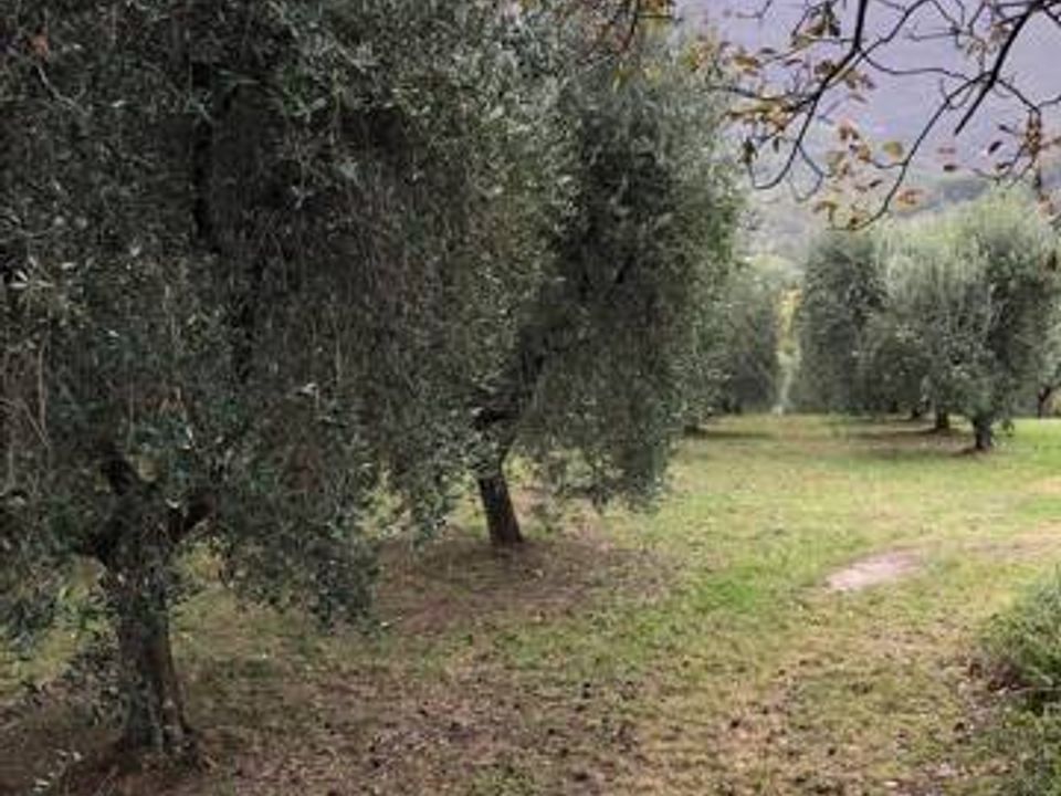 Landejendom i Folignano, Ascoli Piceno - foto 2