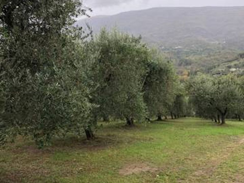 Landejendom i Folignano, Ascoli Piceno - foto 3