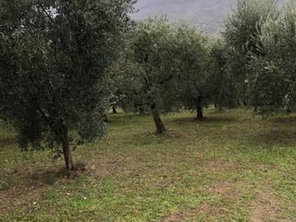 Landejendom i Folignano, Ascoli Piceno - foto 4