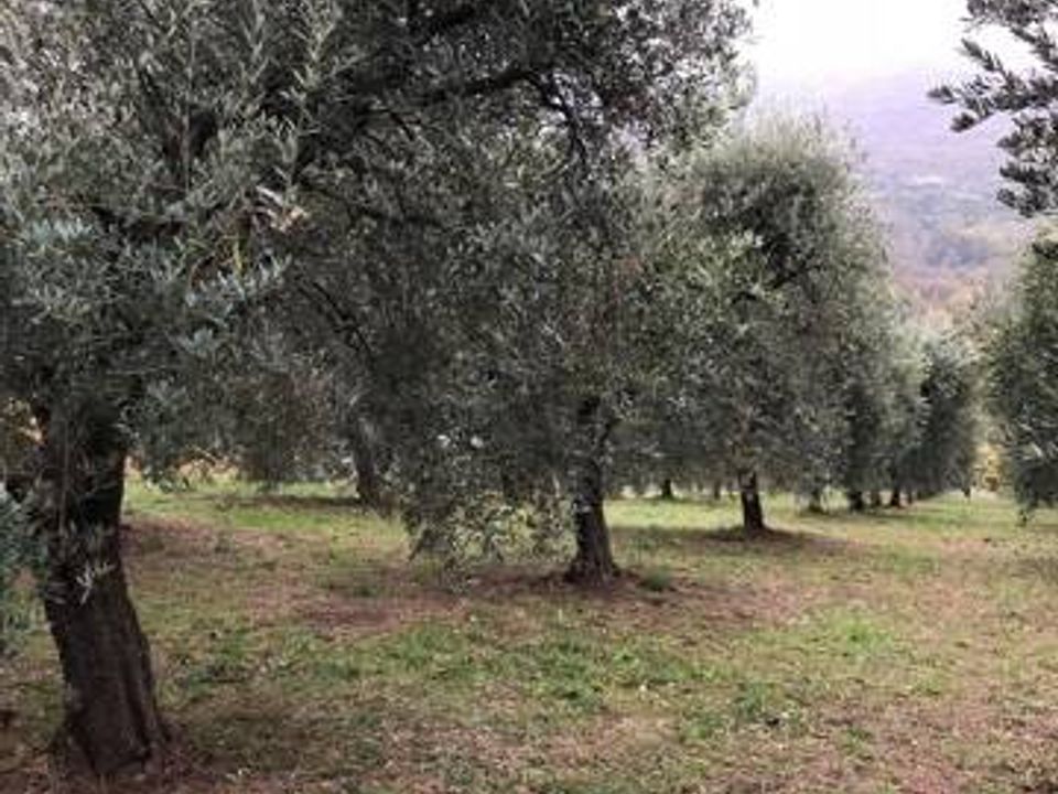 Landejendom i Folignano, Ascoli Piceno - foto 5