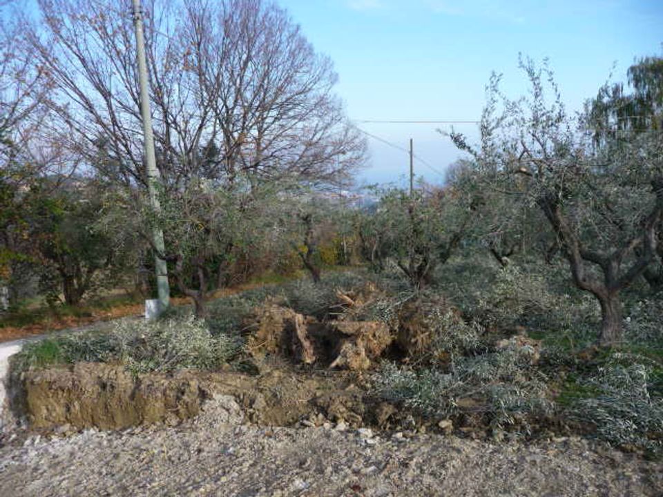 Helårsgrund i Colonnella, Teramo - foto 3