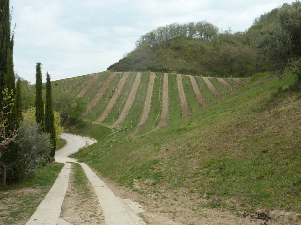 Helårsgrund i Ripatransone, Ascoli Piceno - foto 2