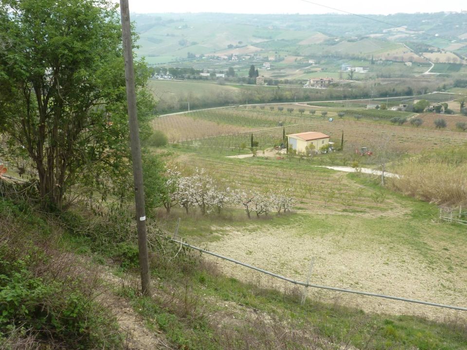 Helårsgrund i Ripatransone, Ascoli Piceno - foto 3