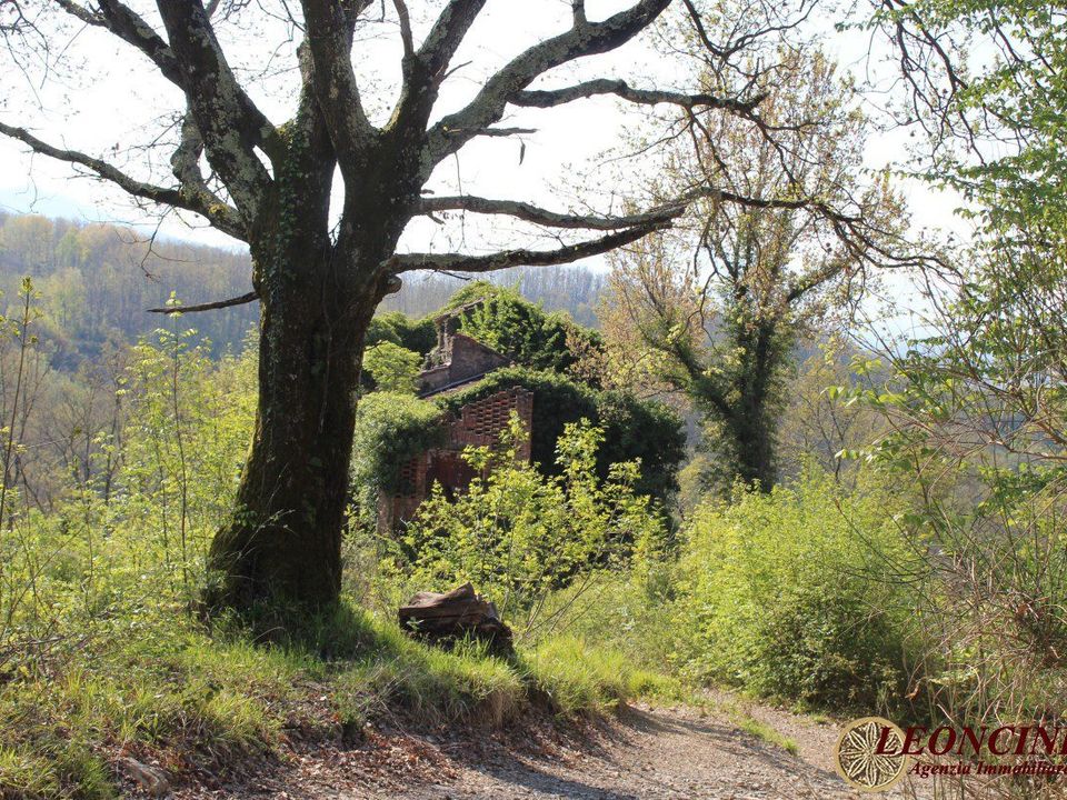 Landejendom i Villafranca in Lunigiana, Massa and Carrara - foto 2