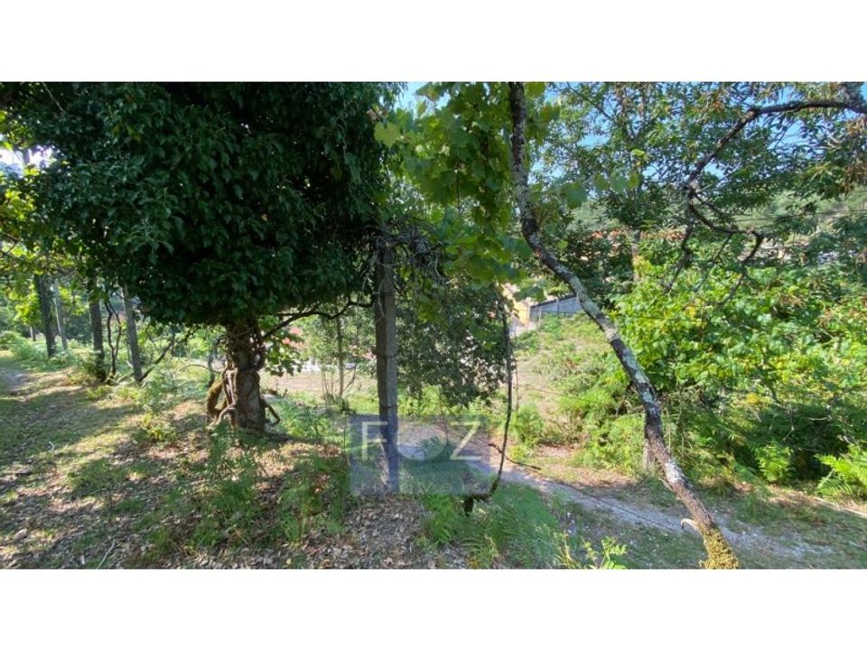 Farm i Vila Mea, Porto - foto 2