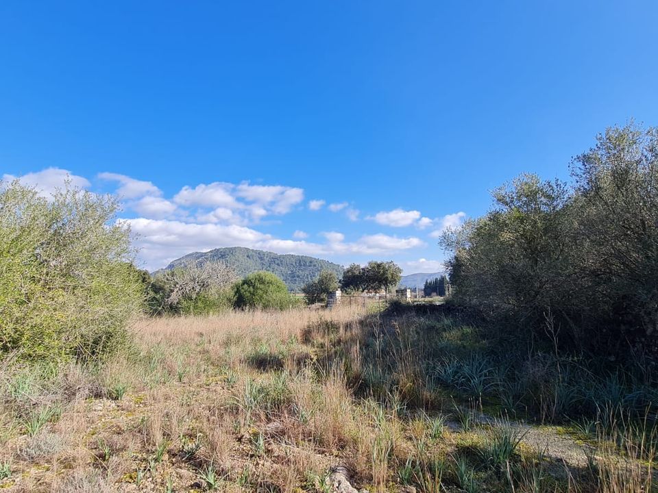 Helårsgrund i Sa Pobla, Mallorca - foto 1