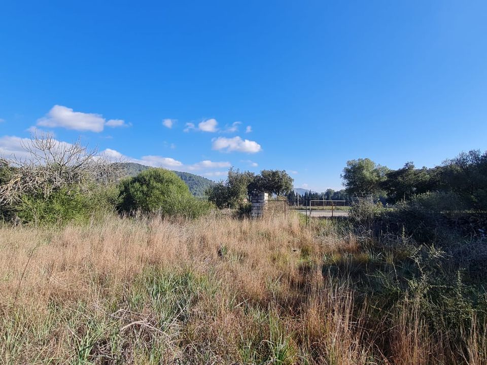 Helårsgrund i Sa Pobla, Mallorca - foto 4